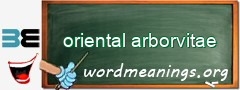 WordMeaning blackboard for oriental arborvitae